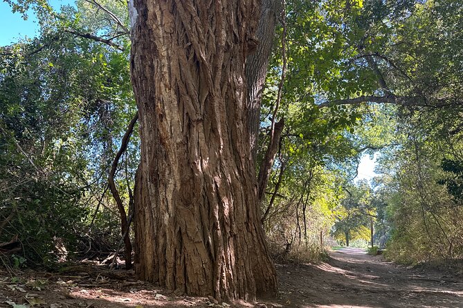 Small Group Scenic Waco Hiking Tour - Key Points
