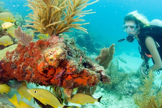 Small Group Scuba Diving Experience in Maiton Private Island - Positive Customer Feedback
