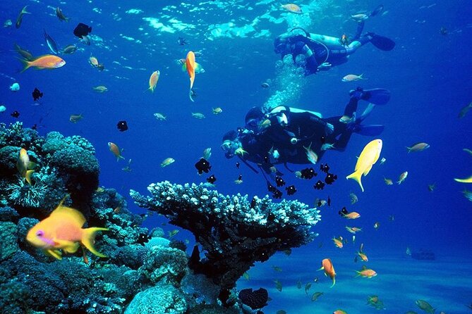 Small Group Scuba Diving Experience in Maiton Private Island - Negative Customer Feedback