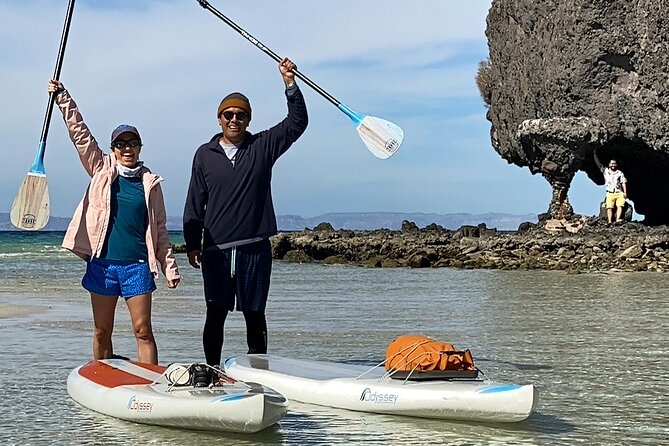 Small Group Sea Lions & Paddleboard Tour - Balandra Beach - Experience Highlights