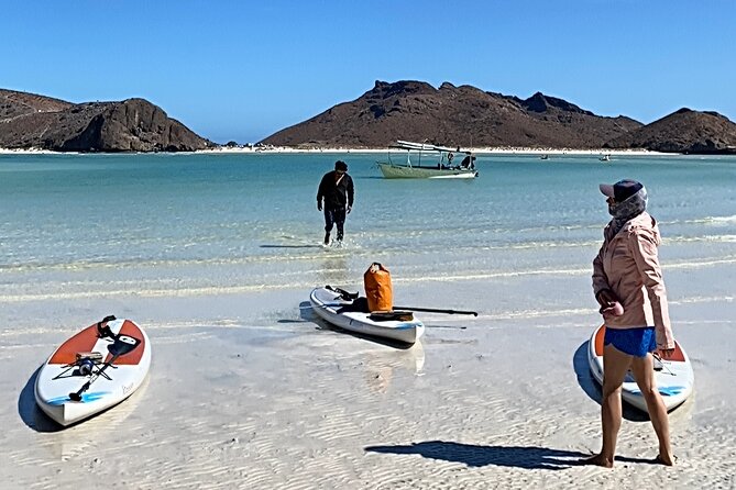 Small Group Sea Lions & Paddleboard Tour - Balandra Beach - Frequently Asked Questions