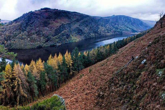 (Small Group) Shore Tour From Dublin:Dublin Highlights and Glendalough Day Trip - Stops and Activities