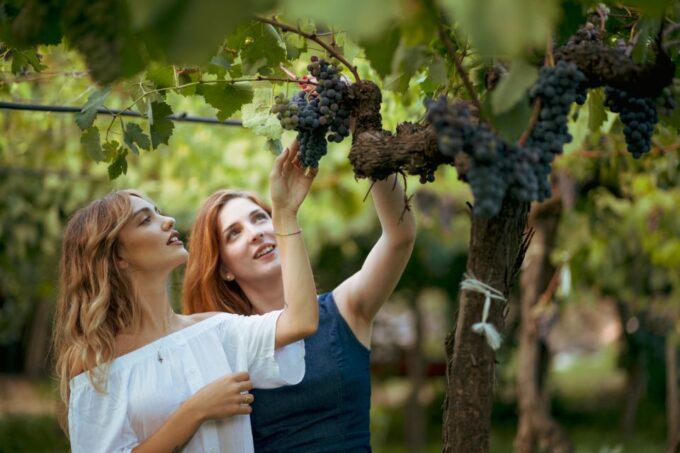 Small Group Sicily Food & Wine Lovers Tour: 8 Days - Culinary Experiences