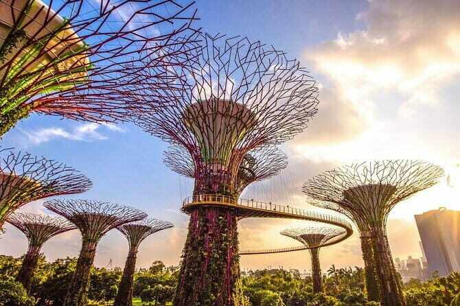 Small Group Singapore Morning City Tour with Gardens By The Bay - Itinerary Breakdown: What You’ll Experience
