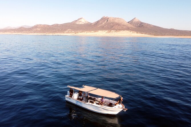 Small-Group Snorkel Adventure in San Jose Del Cabo - Meeting and End Points