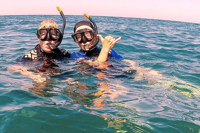 Small-Group Snorkel Adventure in San Jose Del Cabo - Overall Guest Experiences