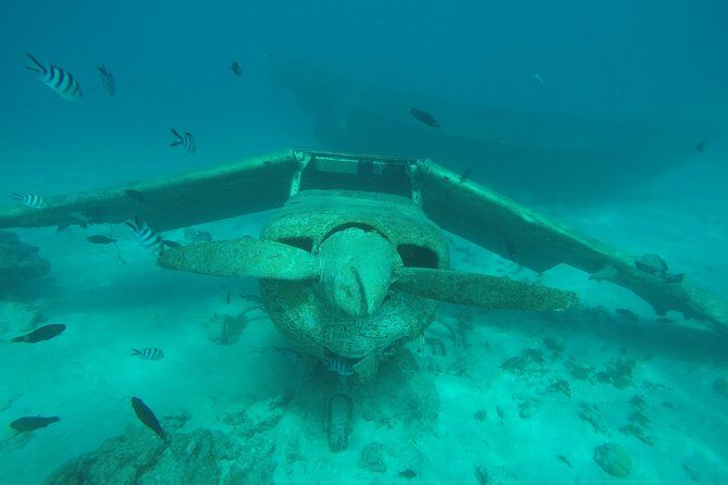 Small group snorkeling (5 people max): wrecks & tropical fishes at 1:00pm - The Wrecks and Coral Gardens
