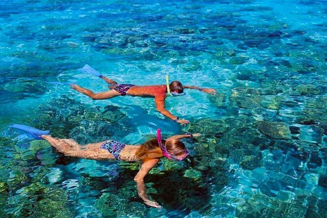 Small group snorkeling (5 people max): wrecks & tropical fishes at 1:00pm - Photos and Memory-Making