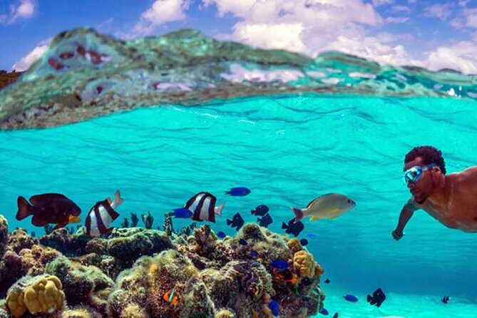 Small group snorkeling (5 people max): wrecks & tropical fishes at 10:30am - Final Thoughts