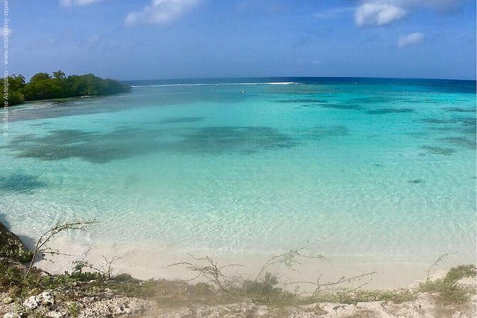 Small Group Snorkeling at Mangel Halto Aruba - Key Points