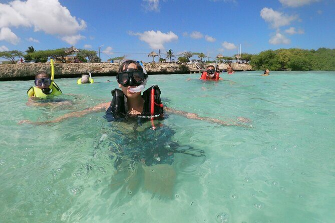 Small Group Snorkeling at Mangel Halto Aruba - What’s Included and What’s Not