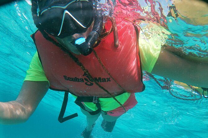 Small Group Snorkeling at Mangel Halto Aruba - Who Will Love This Experience?