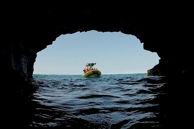 Small Group Snorkeling Expedition South Kona - Experience Requirements