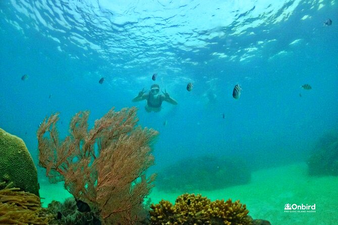 [SMALL-GROUP] SNORKELING & LUNCH - The LARGEST CORAL REEF (Max 9) - Overview of the Experience
