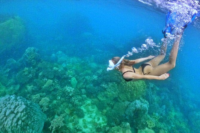 [SMALL-GROUP] SNORKELING & LUNCH - The LARGEST CORAL REEF (Max 9) - Scenic Island-Hopping Cruise
