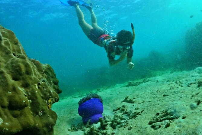 [SMALL-GROUP] SNORKELING & LUNCH - The LARGEST CORAL REEF (Max 9) - Safety and Precautions
