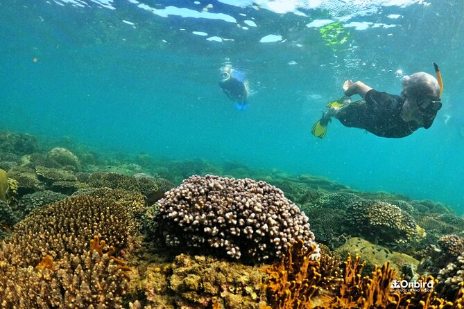 [Small-Group] SNORKELING & SUNSET MEAL at Private Beach-Max 9 PAX - Tour Overview