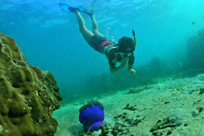 [Small-Group] SNORKELING & SUNSET MEAL at Private Beach-Max 9 PAX - Pickup Information