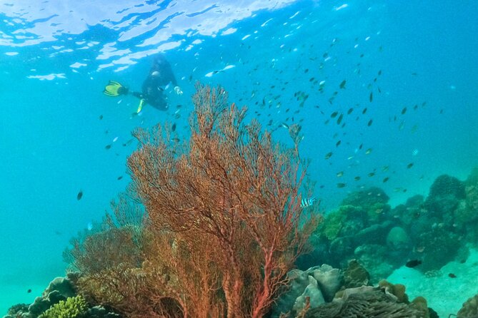 [Small-Group] SNORKELING & SUNSET MEAL at Private Beach-Max 9 PAX - Booking Information