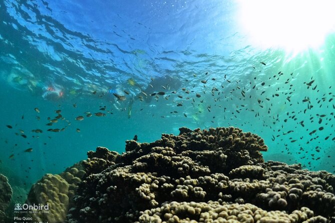 [Small-Group] SNORKELING & SUNSET MEAL at Private Beach-Max 9 PAX - Location and Duration