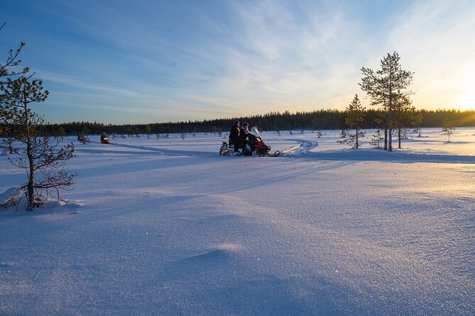 Small-Group Snowmobile Experience in Rovaniemi - Ratings and Reviews