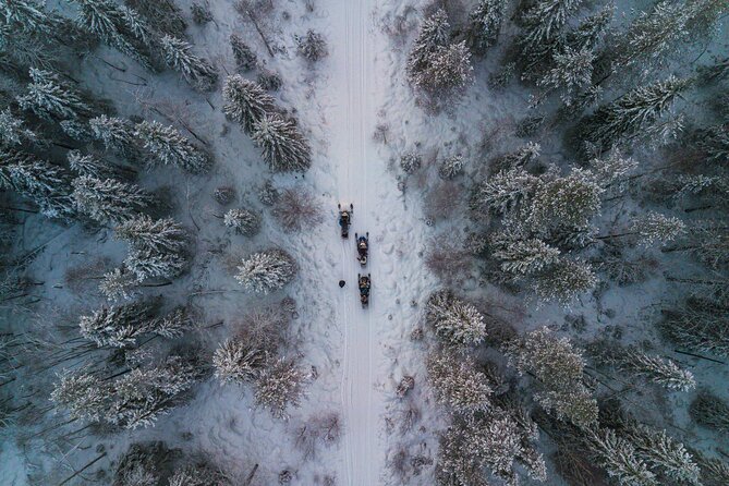 Small-Group Snowmobile Experience in Rovaniemi - Intimate and Uncrowded Adventure