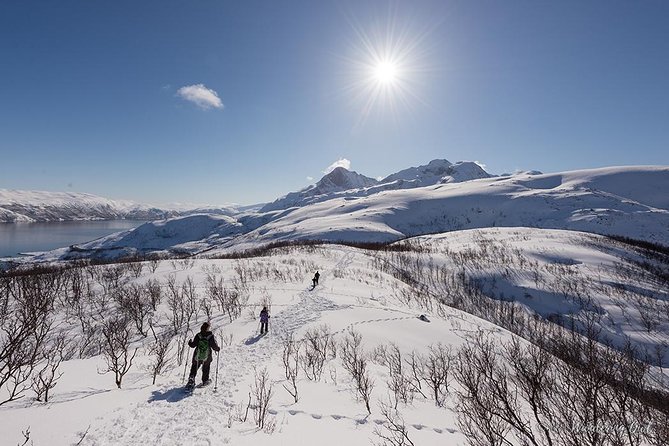 Small-Group Snowshoeing Tour From Tromso - What to Wear and Bring