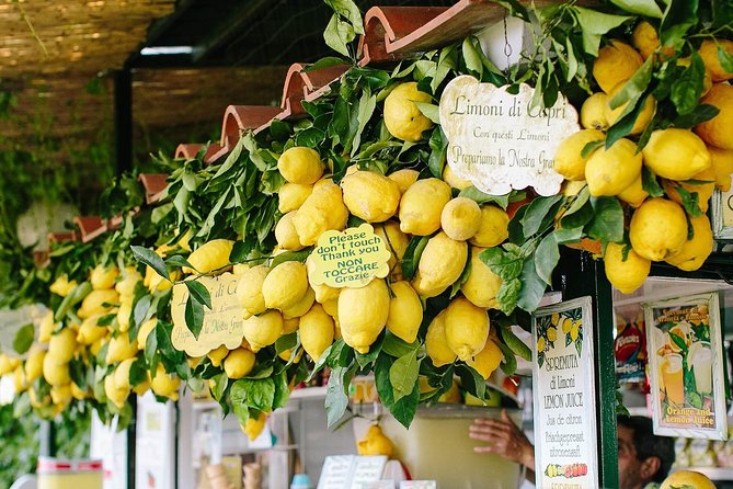 Small Group Sorrento Coast & Capri Boat Day Tour From Positano - Key Details