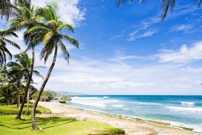 Small-Group Story of Rum Tour in Its Birthplace of Barbados - Rum Tastings and Learnings