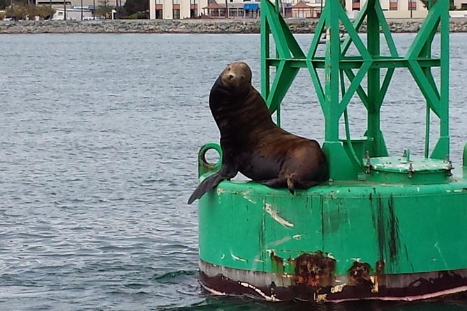 Small-Group Sunset Sailing Experience on San Diego Bay - Additional Experience Details