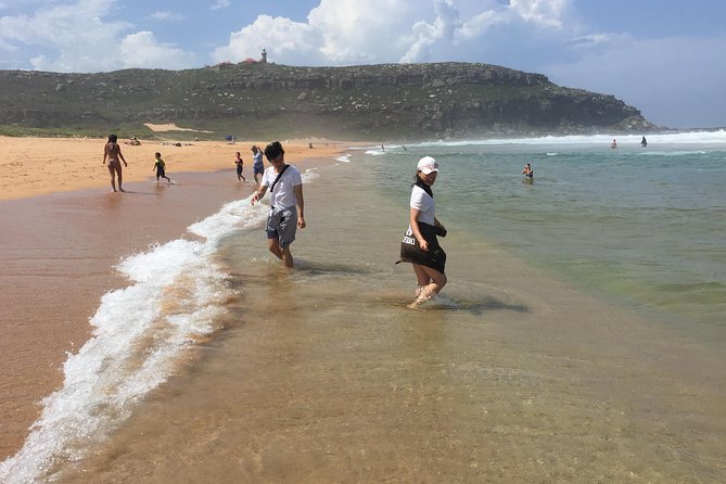 Small-Group Sydneys Northern Beaches and Ku-ring-gai National Park Bus Tour - Tour Details