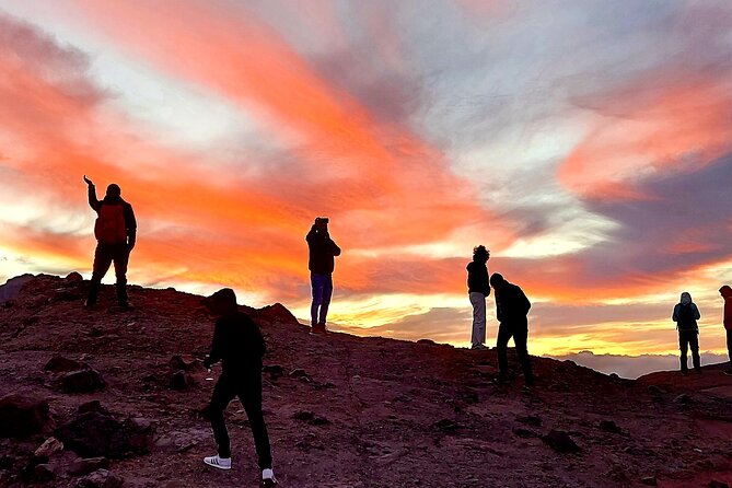 Small Group Teide National Park Volcanic and Forest Wonders - Pine Forests of El Pino Gordo
