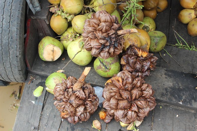 Small Group To Mekong Delta 1 Day - Accessibility