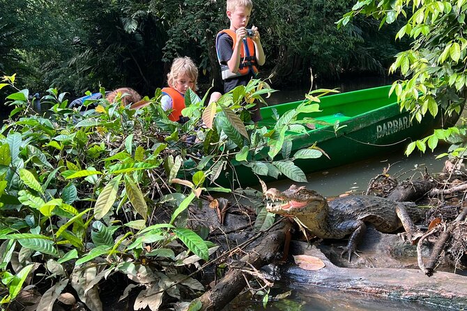 Small Group Tortuguero National Park Canoe Tour - Key Points