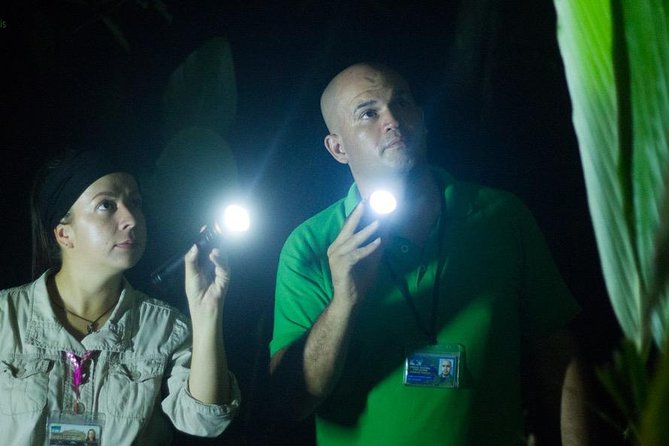 Small-Group Tortuguero National Park Night Walk in Costa Rica - Immersive Rainforest Night Experience