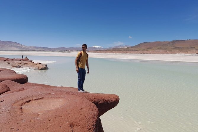 Small-Group Tour Altiplanic Lagoons Red Stones & Flamingo Reserve - Tour Overview