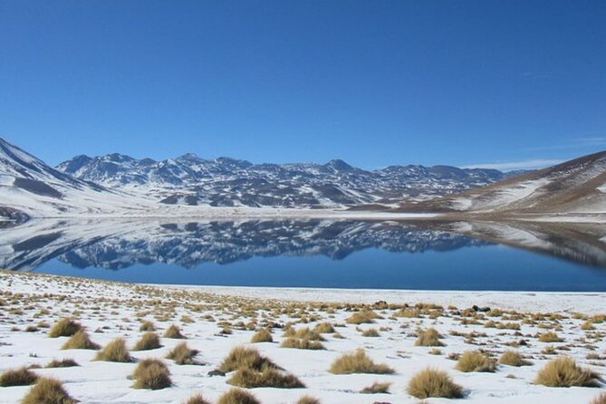 Small-Group Tour Altiplanic Lagoons Red Stones & Flamingo Reserve - Pickup and Departure