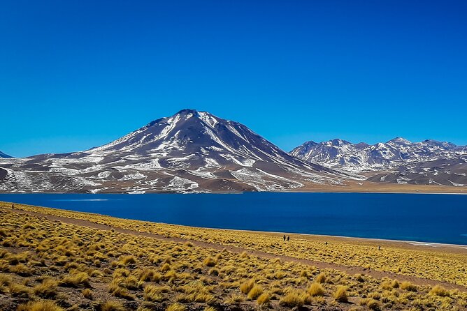 Small-Group Tour Altiplanic Lagoons Red Stones & Flamingo Reserve - Experience Highlights
