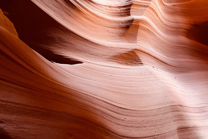 Small Group Tour Antelope Canyon and Horseshoe Bend - Important Information