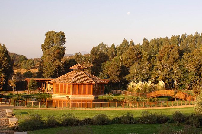 Small-Group Tour at Matetic Vineyard in Rosario Valley From Santiago - Key Points
