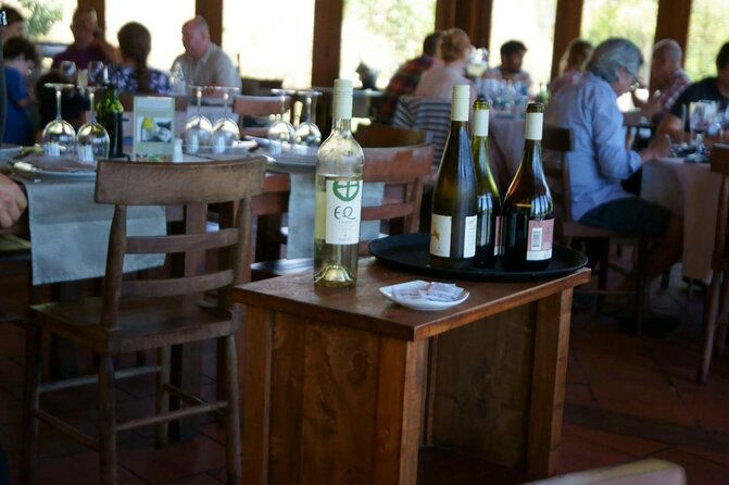 Small-Group Tour at Matetic Vineyard in Rosario Valley From Santiago - Wine Tasting Experience