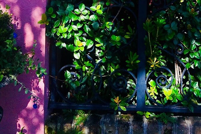 Small-Group Tour: Charleston Old Walled City Historical Walking Tour - Architectural Gems of the Old Walled City