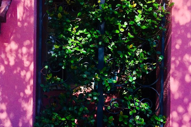 Small-Group Tour: Charleston Old Walled City Historical Walking Tour - Local Insights and Insider Tips