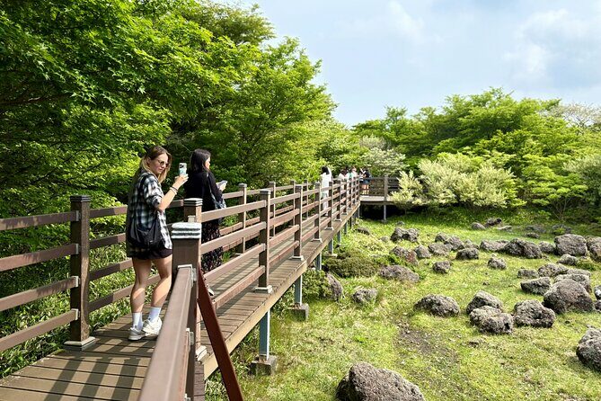 Small Group Tour for Jeju Fall Pink Muhly, Tangerines & Mt. Halla - Authenticity and Experience Quality