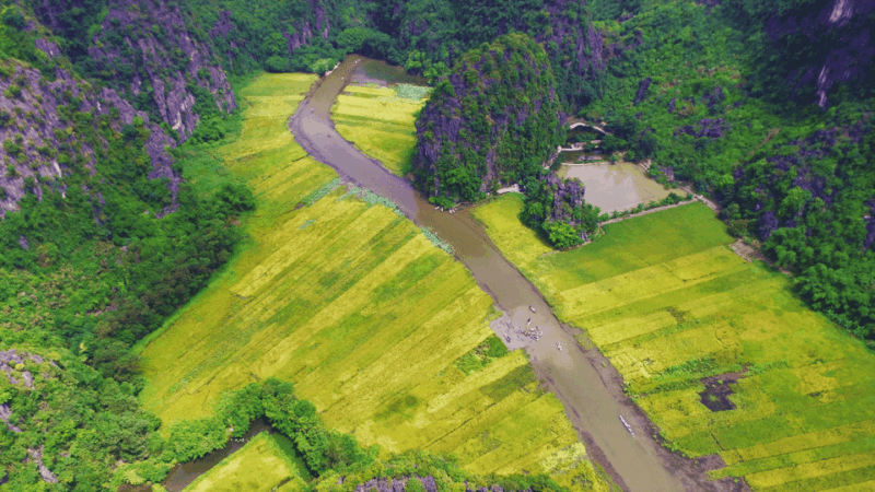 Small Group Tour From Hanoi: Hoa Lu -Tam Coc- Local Family - Important Information and Recommendations