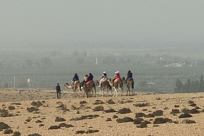 Small-Group Tour From Marrakech to the Atlas Mountains - Highlights of the Tour