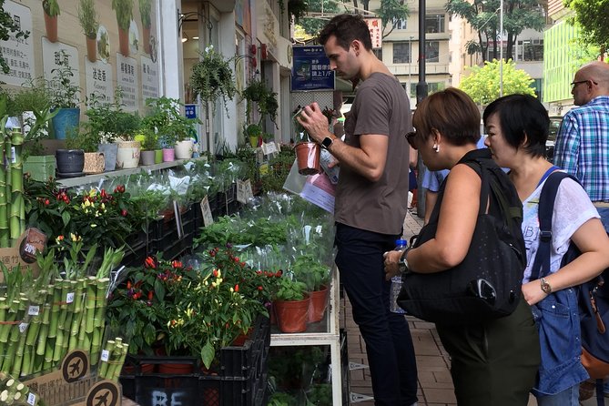 Small-Group Tour: Hong Kong Local Markets Hopper [PROMOTION] - Itinerary Highlights