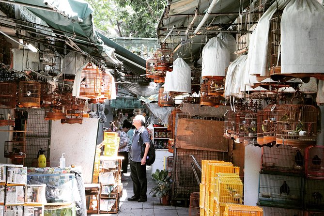 Small-Group Tour: Hong Kong Local Markets Hopper [PROMOTION] - Tour Inclusions