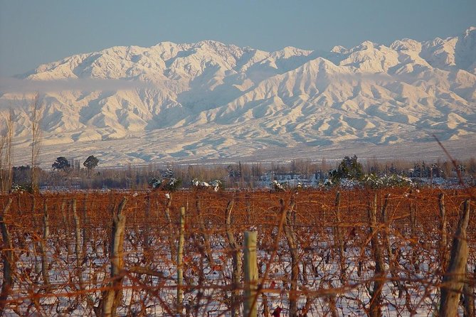 Small Group Tour in 3 Wineries in North Uco Valley With Lunch - Inclusions