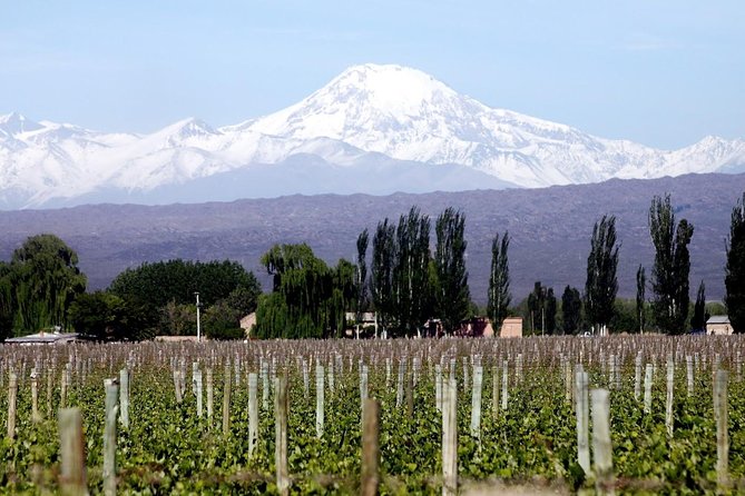 Small Group Tour in 3 Wineries in North Uco Valley With Lunch - Meeting and Pickup